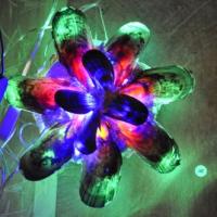 Magdalumiere 12 12 13 033